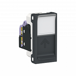 Розетка компьютерная RJ45, одиночная, кат. 6 UTP, 1 модуль (антрацит) Unica Modular Schneider Electric. Вид 1