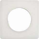 Schneider Electric: S52P802R