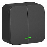 Systeme Electric: BLNVA105106