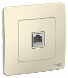 Systeme Electric: BLNIS011002