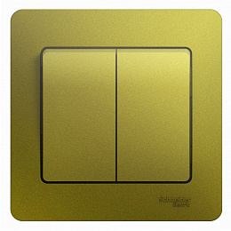 Выключатель 2-клавишный, сх.5,10ax, в сборе (фисташковый) Glossa Systeme Electric. Вид 1