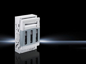 Sv nh- разъединитель разм.1, 250a, 690в RITTAL. Вид 1