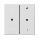 GIRA: G536727