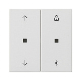 GIRA: G536727