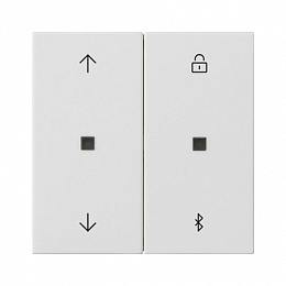 Накладка на жалюзийный выключатель (белый матовый) System 55 Gira. Вид 1