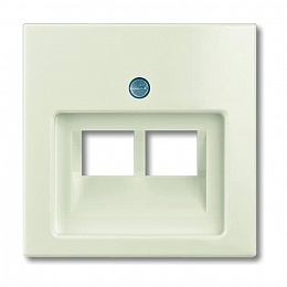 1803-02-92-507 Накладка для 2-х постовой телефонной/компьтерной розетки, с полем для надписи (слоновая кость) Basic 55 АВВ. Вид 1